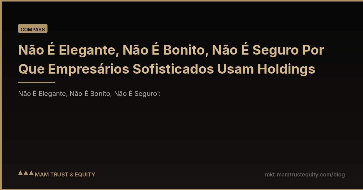 Não É Elegante, Não É Bonito, Não É Seguro Por Que Empresários Sofisticados Usam Holdings