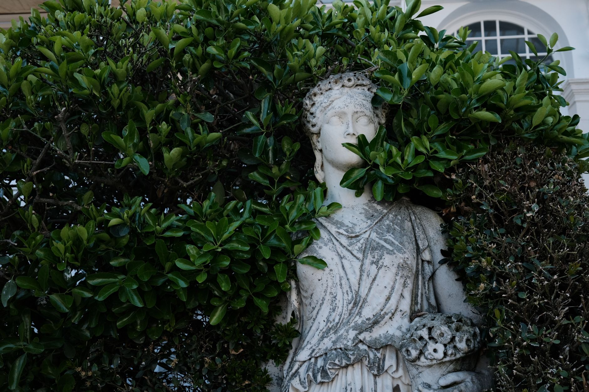 Gestão Patrimonial em Arte e Joias: Liquidez e Valoração